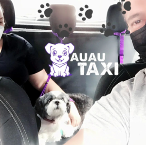 shitzu_auautaxi